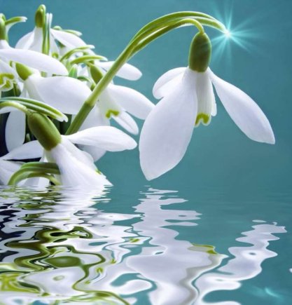 Работа на дому - Консультант по работе с клиентами. Фото