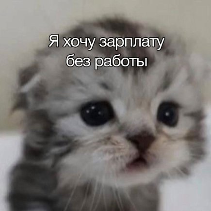 Работа на дому - Предлагаю качественный и оригинальный текст для отзыва. Фото