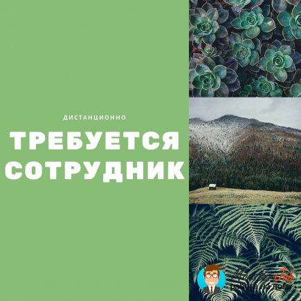 Работа на дому - Специалист по размещению рекламы. Фото