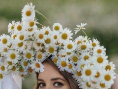Работа на дому - Заполнитель опросников. Фото