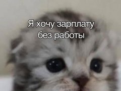 Предлагаю качественный и оригинальный текст для отзыва - фото