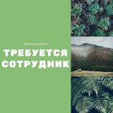 Специалист по размещению рекламы